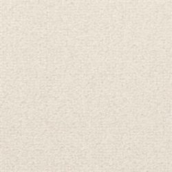 Fabrica Captiva 217CV 922ST Carpet