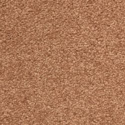 Fabrica Esperanza 220ES 377ES Carpet