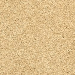 Fabrica Esperanza 220ES 752ES Carpet