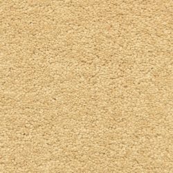 Fabrica Esperanza 220ES 762ES Carpet