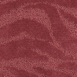 Fabrica Cape Town 329CW 374CW Carpet