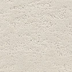 Fabrica Phenomena 331PH 429PH Carpet