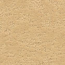 Fabrica Phenomena 331PH 851PH Carpet