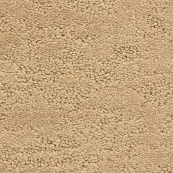 Fabrica Phenomena 331PH 872PH Carpet