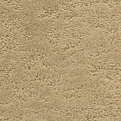 Fabrica Phenomena 331PH 878PH Carpet