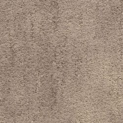 Fabrica Desert Vista 451DV 479DV Carpet