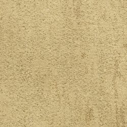 Fabrica Desert Vista 451DV 751DV Carpet