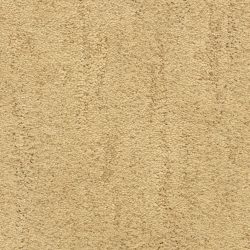 Fabrica Desert Vista 451DV 758DV Carpet