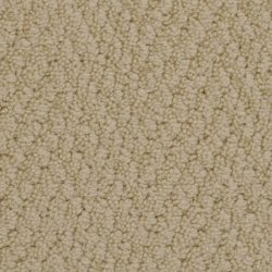 Fabrica Bistango 526BI BI14 Carpet