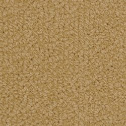 Fabrica Savant 528SA 137SA Carpet