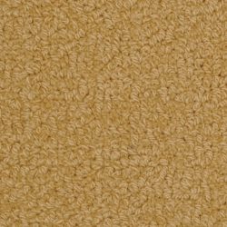 Fabrica Savant 528SA 152SA Carpet