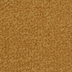 Fabrica Savant 528SA 172SA Carpet