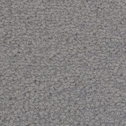 Fabrica Savant 528SA 555SA Carpet