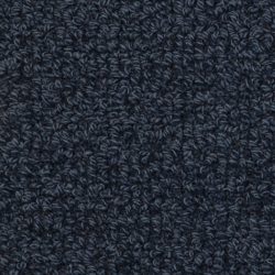 Fabrica Savant 528SA 586SA Carpet