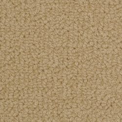 Fabrica Savant 528SA 622SA Carpet