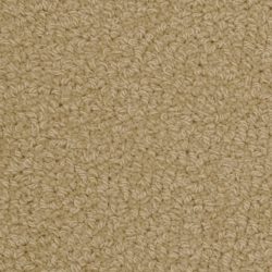 Fabrica Savant 528SA 631SA Carpet