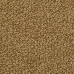 Fabrica Savant 528SA 672SA Carpet