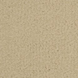 Fabrica Savant 528SA 711SA Carpet