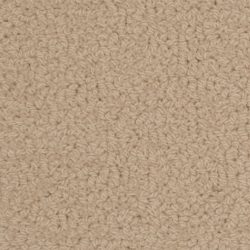 Fabrica Savant 528SA 713SA Carpet