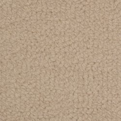 Fabrica Savant 528SA 717SA Carpet