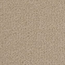 Fabrica Savant 528SA 719SA Carpet