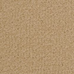 Fabrica Savant 528SA 722SA Carpet