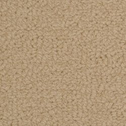 Fabrica Savant 528SA 723SA Carpet