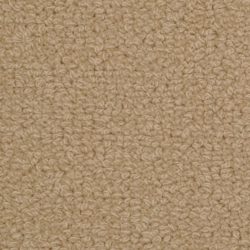 Fabrica Savant 528SA 729SA Carpet