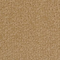 Fabrica Savant 528SA 743SA Carpet