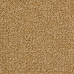 Fabrica Savant 528SA 752SA Carpet