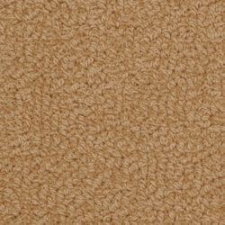 Fabrica Savant 528SA 773SA Carpet