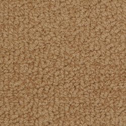 Fabrica Savant 528SA 858SA Carpet