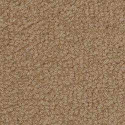 Fabrica Savant 528SA 859SA Carpet