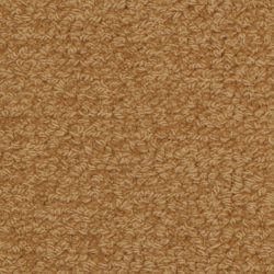 Fabrica Savant 528SA 868SA Carpet