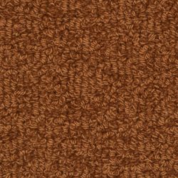 Fabrica Savant 528SA 882SA Carpet