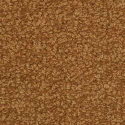 Fabrica Savant 528SA 888SA Carpet