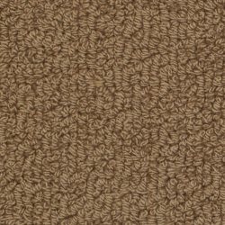Fabrica Savant 528SA 889SA Carpet