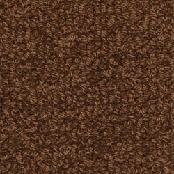 Fabrica Savant 528SA 898SA Carpet