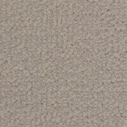 Fabrica Savant 528SA 925SA Carpet
