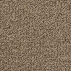 Fabrica Savant 528SA 979SA Carpet