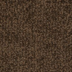 Fabrica Savant 528SA 982SA Carpet