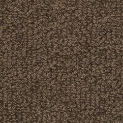 Fabrica Savant 528SA 989SA Carpet