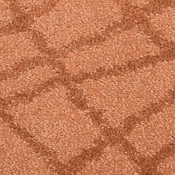 Fabrica Chantrel 535CN 282CN Carpet