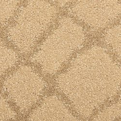 Fabrica Chantrel 535CN 768CN Carpet