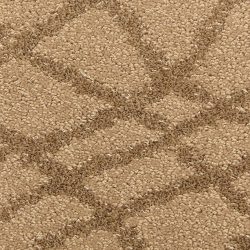 Fabrica Chantrel 535CN 881CN Carpet