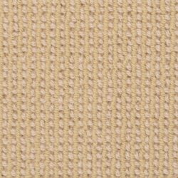 Fabrica Petit Point 553PT 111PT Carpet