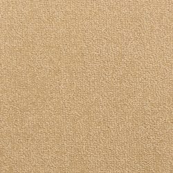 Fabrica Pure 555PE 234PE Carpet