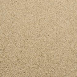 Dixie Home Carpet Morning Mist G5214 26138