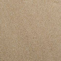 Dixie Home Carpet Morning Mist G5214 26143