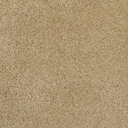 Dixie Home Carpet Morning Mist G5214 36126
